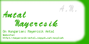 antal mayercsik business card